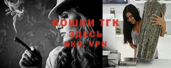 твердый Медногорск