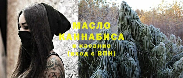 твердый Медногорск