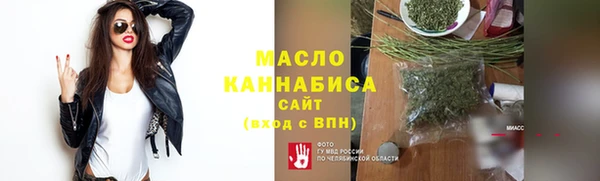 твердый Медногорск