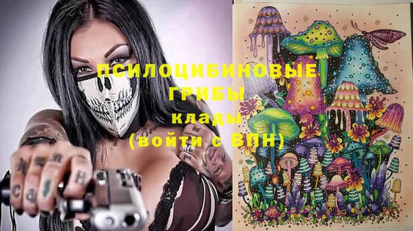 тгк Нижний Тагил