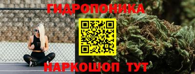 прущие крисы Камышлов