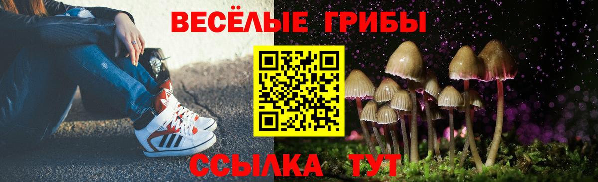 Галлюциногенные грибы ЛСД  Вход с VPN  Галлюциногенные грибы Cubensis  Нальчик 
